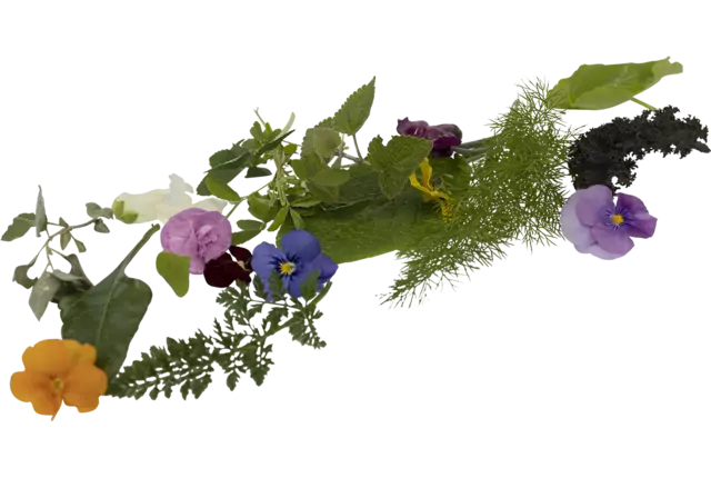 Bonte salade met bloemen 100gr